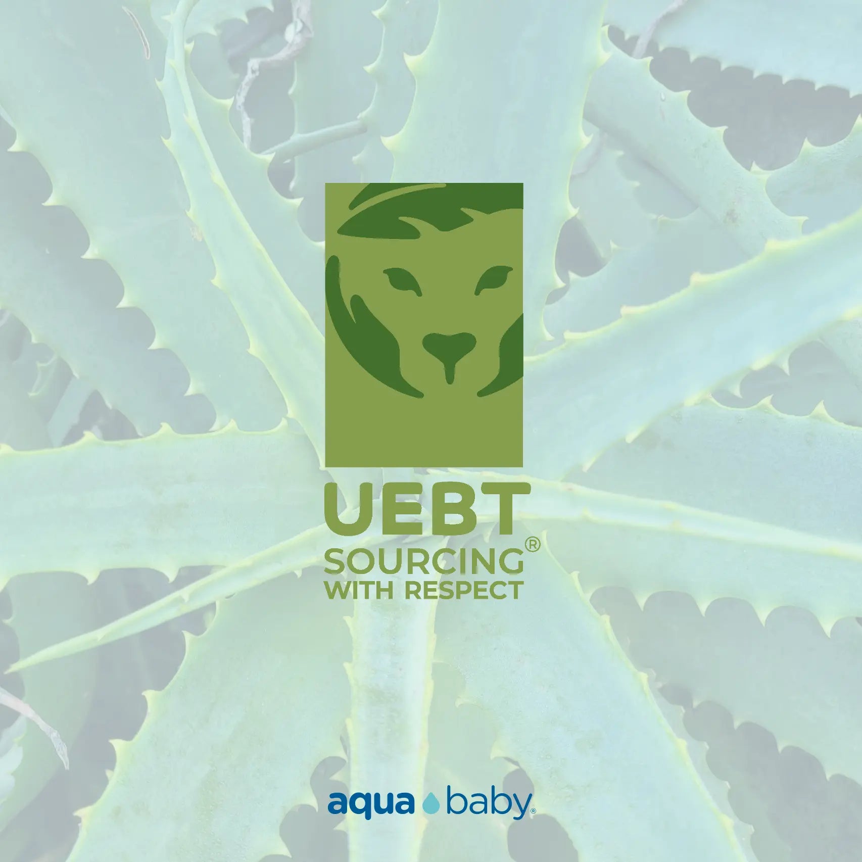 Obtención-del-Certificado-UEBT-Un-Compromiso-con-la-Sostenibilidad Aqua Baby